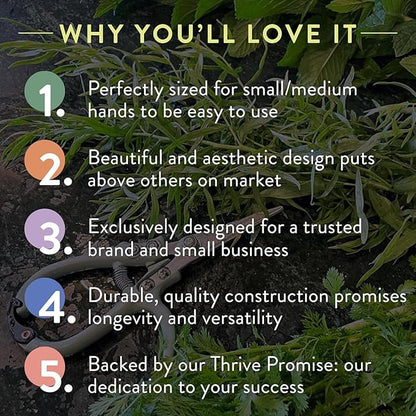 Modern Sprout Hand Pruners & Shears Set with Blister Pack - Lightweight Gardening Tools with Easy Lock - Sharp Carbon Steel Blades -Rust Resistant Scissors for Herbs, Flowers - Lavender