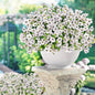 14 Bundles Fake Mums Fake Plants Artificial Mums for Outdoors Artificial Flowers for Yard Porch Home Garden Fall Indoor Outdoor Decor(White)