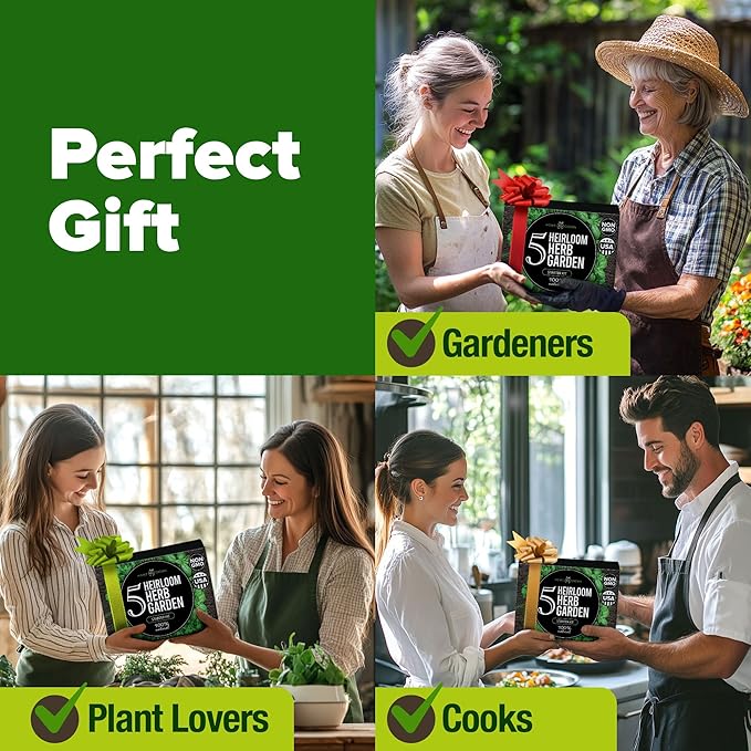 HOME GROWN Indoor Herb Garden Starter Kit – Complete 5 Herb Grow Kit with Basil, Cilantro, Mint, Parsley & Thyme – for Gardeners, Unique Christmas Gardening Gift for Mom, Women & Men