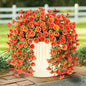 Rich and Eye-catching 5 PCS Artificial Hanging Flowers，Silk Morning Glory Faux Flowers with Eucalyptus Leaves,uv Resistant Fake Hanging Petunias Plants for Yard Decoration(Orange)