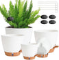 Self Watering Pots for Inoor Ourdoor Plants 8/7/6.5/6/5 Inch Plastic Planters with Drainage Holes & Water Level Indicator, Decorative House Flower Nursery Planting Pots with Saucers (White)