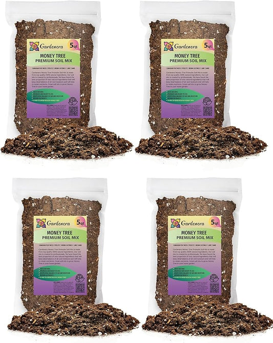 GARDENERA Money Tree Potting Soil - 10 Quart - Soil Mix for Planting or Repotting Guiana Chestnut, Blended Mix to Properly Grow Money Tree Plants (4 Bags of 5 Quart)