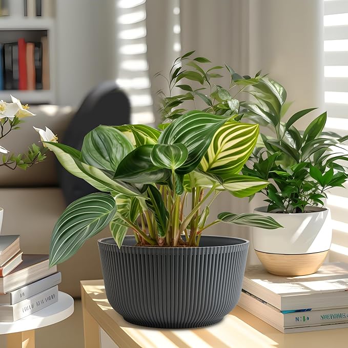 T4U 10 Inch Self Watering Pots for Indoor Plants, Plastic Plant Pots with Drainage Hole, Large Flower Pots for Indoor Outdoor Plants Cactus, Garden, Set of 2, Gray