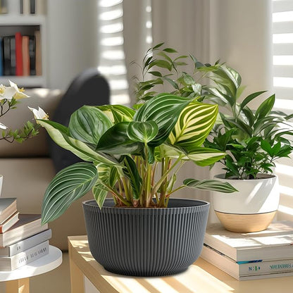 T4U 10 Inch Self Watering Pots for Indoor Plants, Plastic Plant Pots with Drainage Hole, Large Flower Pots for Indoor Outdoor Plants Cactus, Garden, Set of 2, Gray