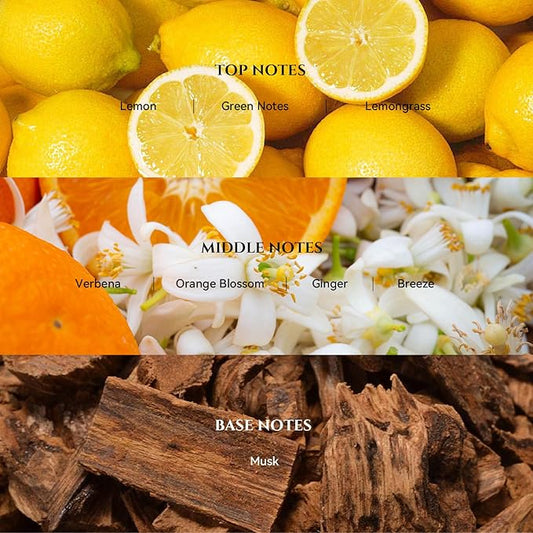 AROMADD 24K Celestia Diffuser Oil Inspired by Luxury Hotel Scent 3.38 Fl Oz (100ml), Aroma Diffuser & Hotel Fragrance Diffuser Oil, Essential Oil Diffuser for Aromatherapy, Long-Lasting