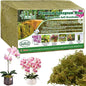 Halatool 5.5LB Green Forest Moss Natural Sphagnum Moss for Plants Fluffy Orchid Moss for Orchids Repotting Dried Plant Moss for Potted Plants Indoor & Outdoor