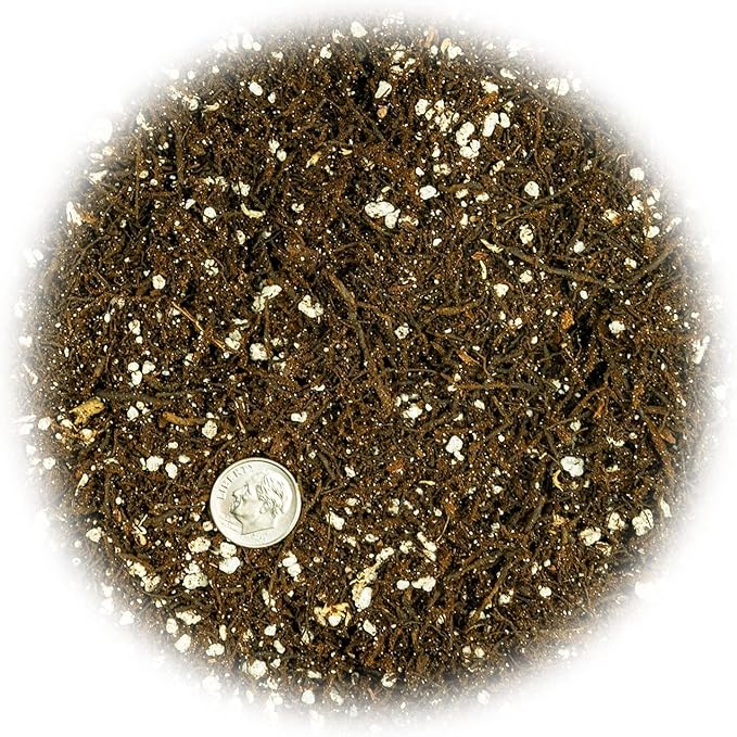 Gardenera Fern + Perlite Soil Mix for Repotting and Planting Succulents and Cactuses - 5 Quart Bag