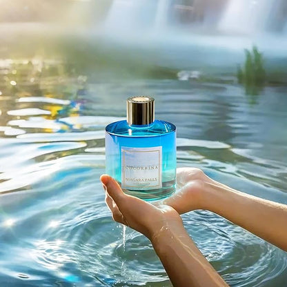 COCORRÍNA Reed Diffuser - Niagara Falls 6.7 Fl.oz Reed Diffuser Set with 8 Sticks & Preserved Baby's Breath, Reed Diffuser for Home Bathroom Shelf Decor