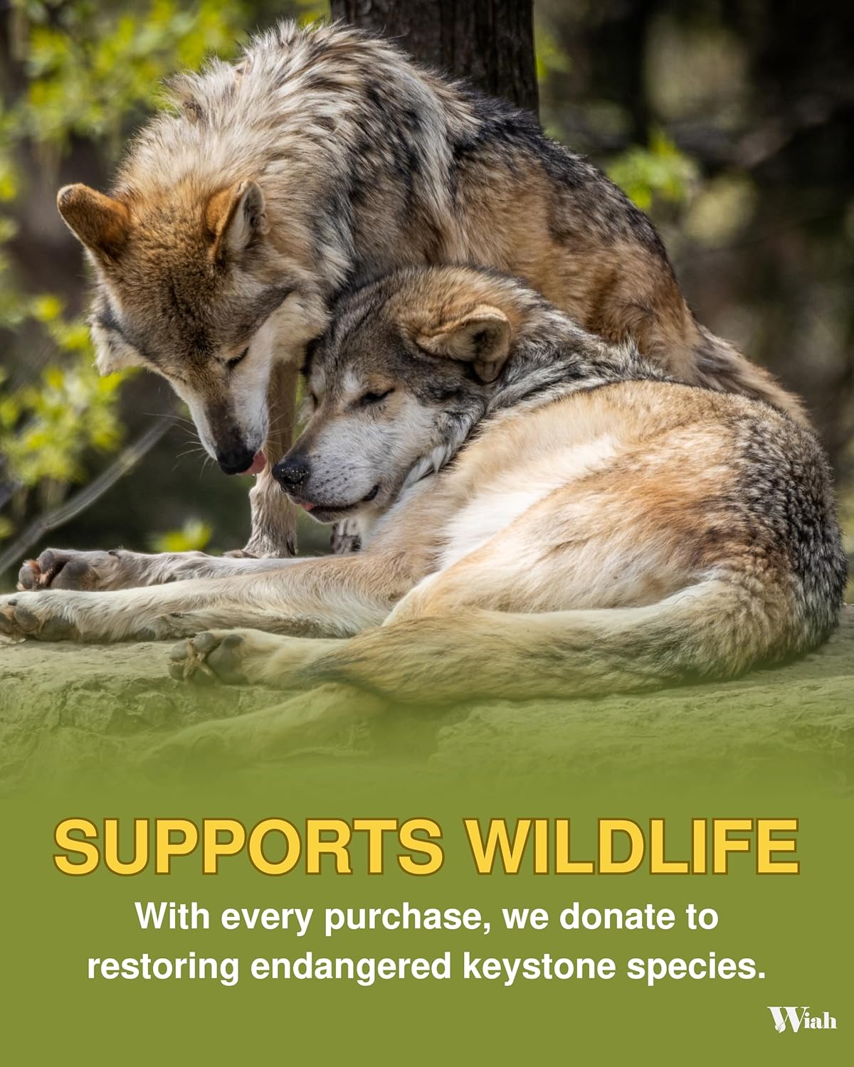 Small Compost Bags for Countertop Bin - Extra Strong 50-Count Compostable Trash Bags 3 Gallon - BPI Certified - Supports Wildlife - Premium 3 Gallon Compostable Bags for Kitchen Compost Bin