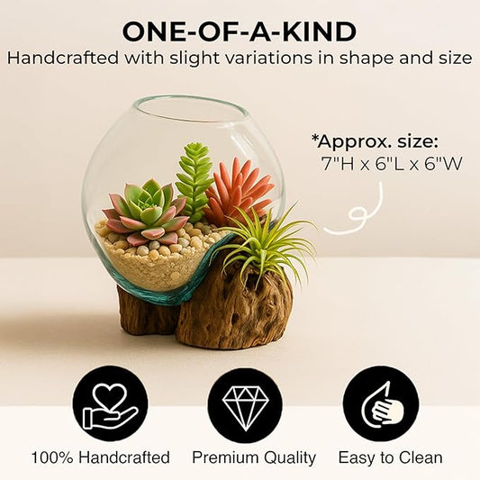 Cape Craftsmen 7" H Hand-Blown Blue Tinted Bubble Glass On Natural Teak Driftwood Terrarium | Home Décor Indoor Planter with Stand | Pot for Succulent and Plants