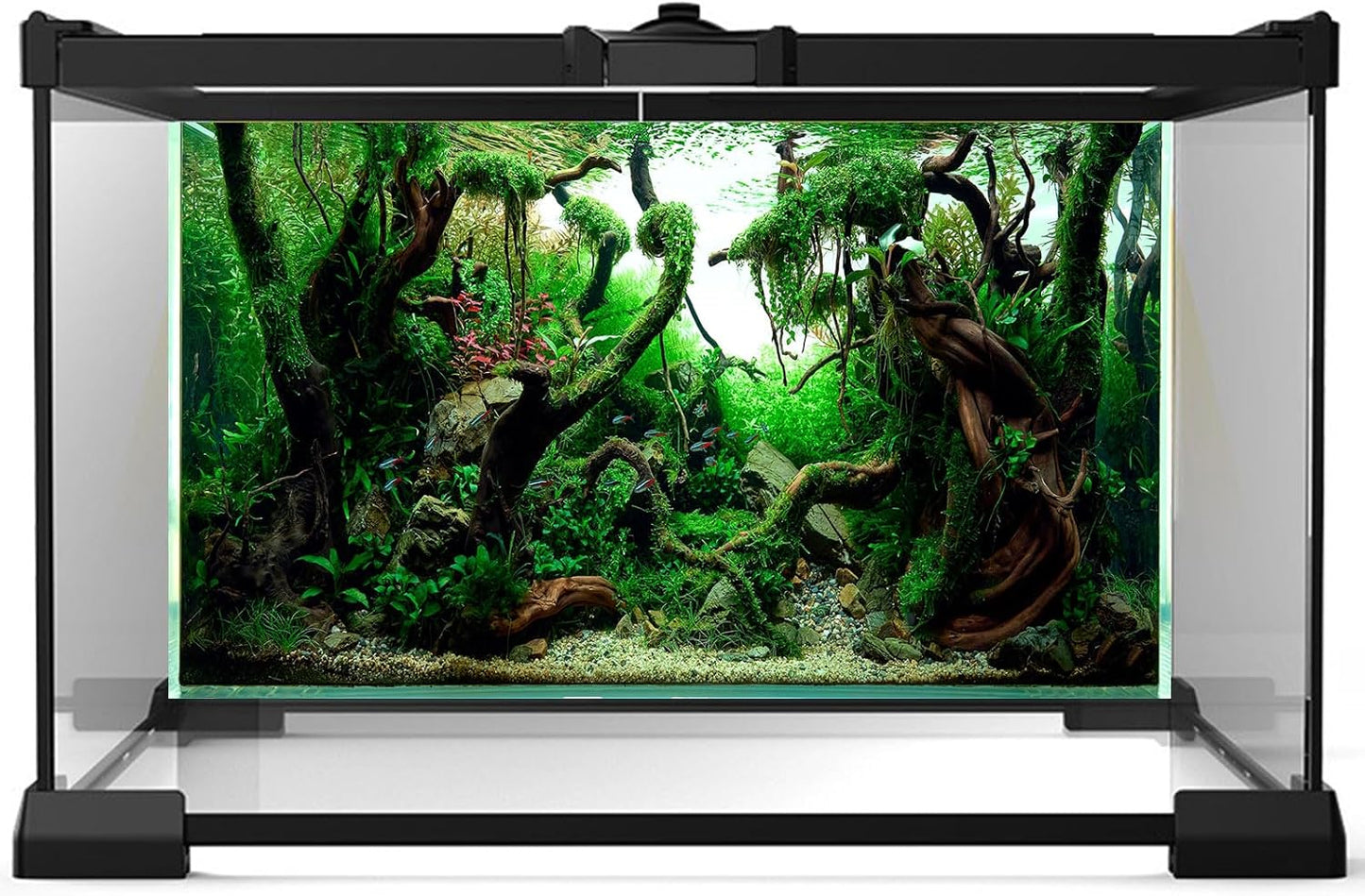 Aquarium Background Underwater Pebble Grass Leaves Aquarium Backdrop Vivid Fresh Green Aquatic Plant Stone River Bed Aquarium Backdrop Deadwood Purple Leaves Tank Background Vinyl 48x18in