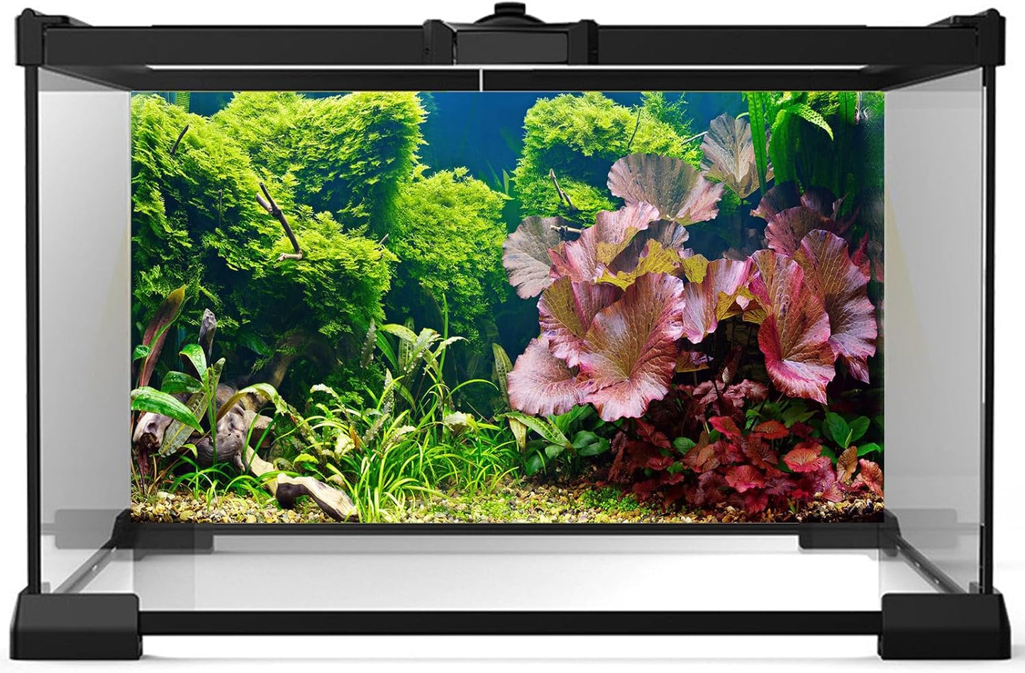 Aquarium Background Underwater Grass Leaves Pebble Aquarium Backdrop Vivid and Fresh Green Aquatic Plant Background Stone River Bed DeadWood Purple Leaves Tank Background Decor Vinyl 48x18in