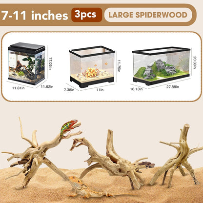 Natural Large Spiderwood Driftwood for Aquarium Decor Rptile Fish Tank Decoration Assort Branch 7-11'' 3 Pcs