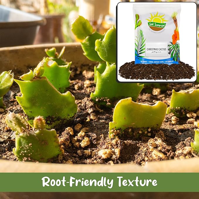 Soil Sunrise Christmas Cactus Potting Soil Mix (8 Quarts) Custom Blend for Xmas, Easter, and Thanksgiving Cactus Tropical Indoor Houseplants