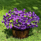 10 Bundles Artificial Flowers for Outdoor,UV Resistant Fake Petunia Flowers,Faux Plants for Outside Hanging Planters,Artificial Plants for Indoor Porch Garden Home Wedding Decor(Purple)