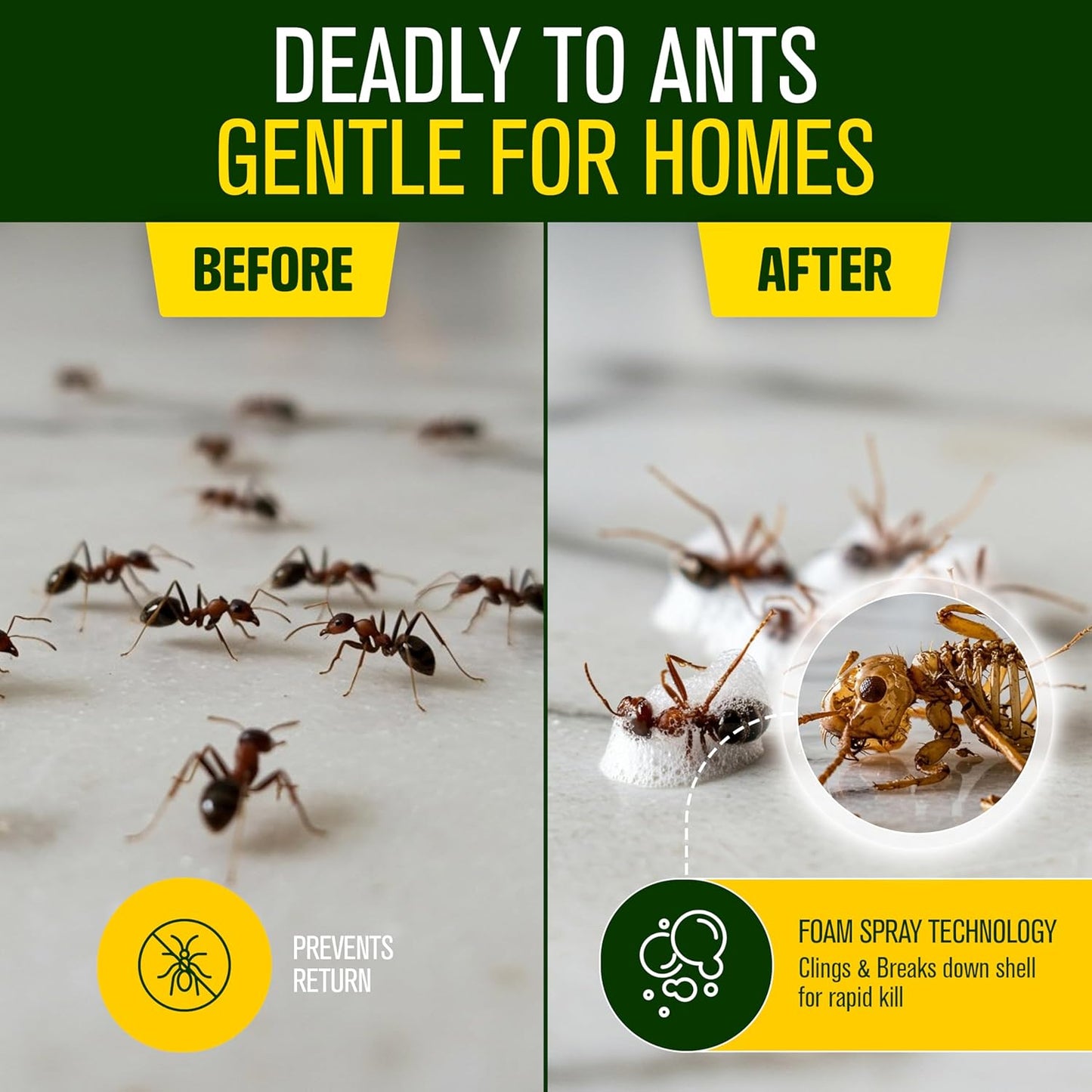 Green Guard Pest Control Spray - Indoor & Outdoor Killer of Ants, Roaches, Spiders & Other Crawling Insects, Safe Around Children & Pets, Plant-Based, Pleasant Scent (Cinnamon Might, 16oz)