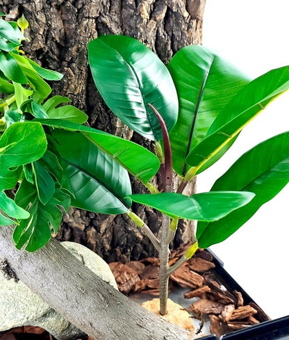 Woyrise Reptile Plants for Terrarium, 9" Fake Rubber Tree Ball Python Tank Accessories Habitat Decor fit Crested Gecko Leopard Bearded Dragon Lizard Chameleon Snake - Ficus Elastica Robusta