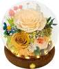 Valley of Rain & Forest Long-Lasting Real Flowers, Unique Floral Gift for You to Send Love for All Occasions, for Indoor Decoration (Champagne & Yellow Roses Arrangement)