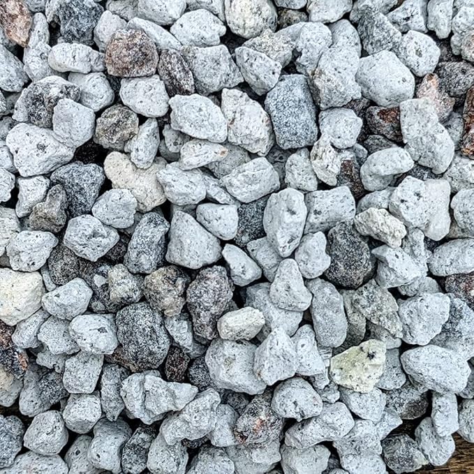 Bonsai Outlet Horticultural Pumice for Plants - Tinyroots Succulents, Cactus, Bonsai Plants - 100% Pure Bonsai Pumice Rocks, 1/4 inch Soil Additive, 2 Quarts
