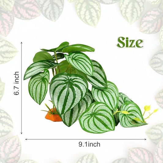 Reptile Plants for Terrarium, Amphibian Habitat Decor Plant, Bearded Dragon Tank Decorations, Artificial Plants for Gecko Lizard Chameleon Ball Python Snake with Base - Fake Calathea Orbifolia