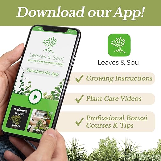 Professional Monstera Plant Fertilizer | 3-1-2 Concentrate for Plants and Flowers | Multi-Purpose Blend & Gardening Supplies | 8 oz Bottle