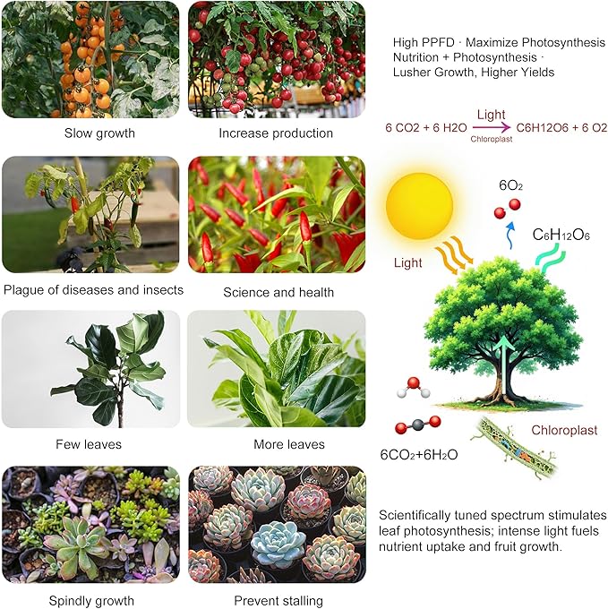 LED Grow Light Panel 600W Lamp for Indoor Plants, Full Spectrum with White Blue Red UV IR LEDs for 3x3ft Coverage Grow Tent Greenhouse Veg and Bloom Seedlings Hydroponics Timer Brightness