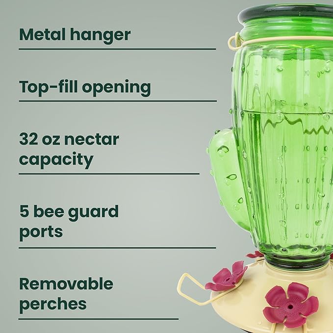Perky-Pet Cactus Top Fill Glass Hummingbird Feeder with Built-in Bee Guards & Removable Perches - 32 oz Nectar Capacity - Hummingbird Feeder for Outdoors - 9111-1SR