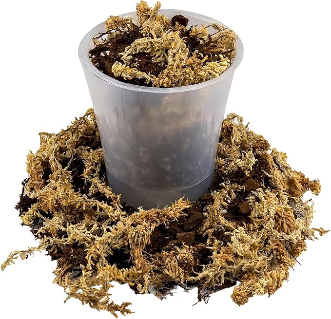 Gardenera Premium Orchid Mix by GARDENERA | Fern + New Zealand Pine Bark + Sphagnum Moss + Perlite | Best for Growing and Repotting Orchids - 3 Quart Bag