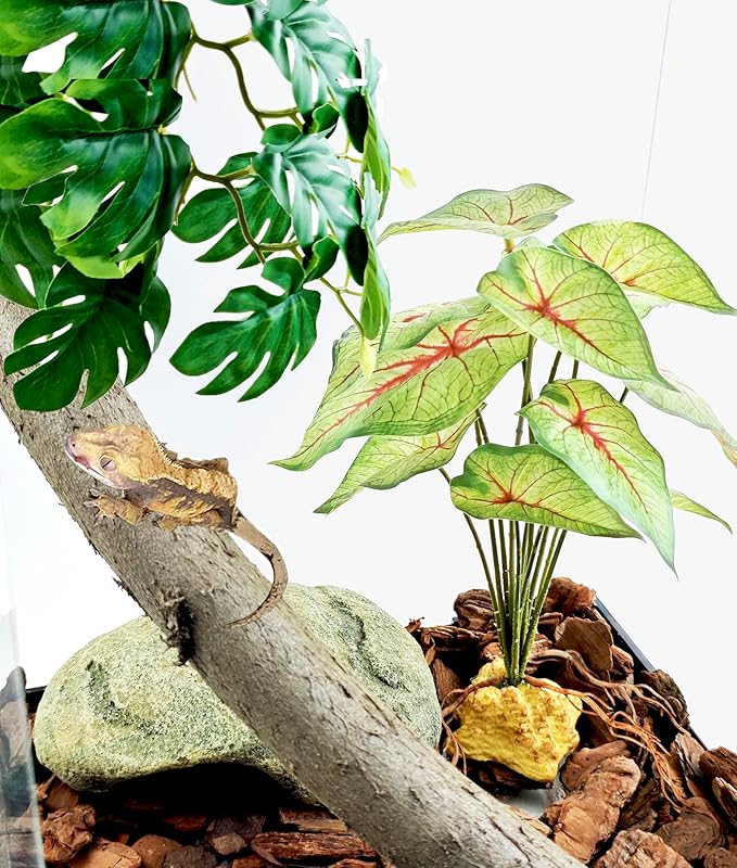 Woyrise Reptile Artificial Plants for Terrarium Decor, Amphibian Habitat Decorations Bearded Dragon Tank Accessories fit Crested Gecko Leopard Lizard Chameleon Ball Python Snake Frog - Fake Caladium