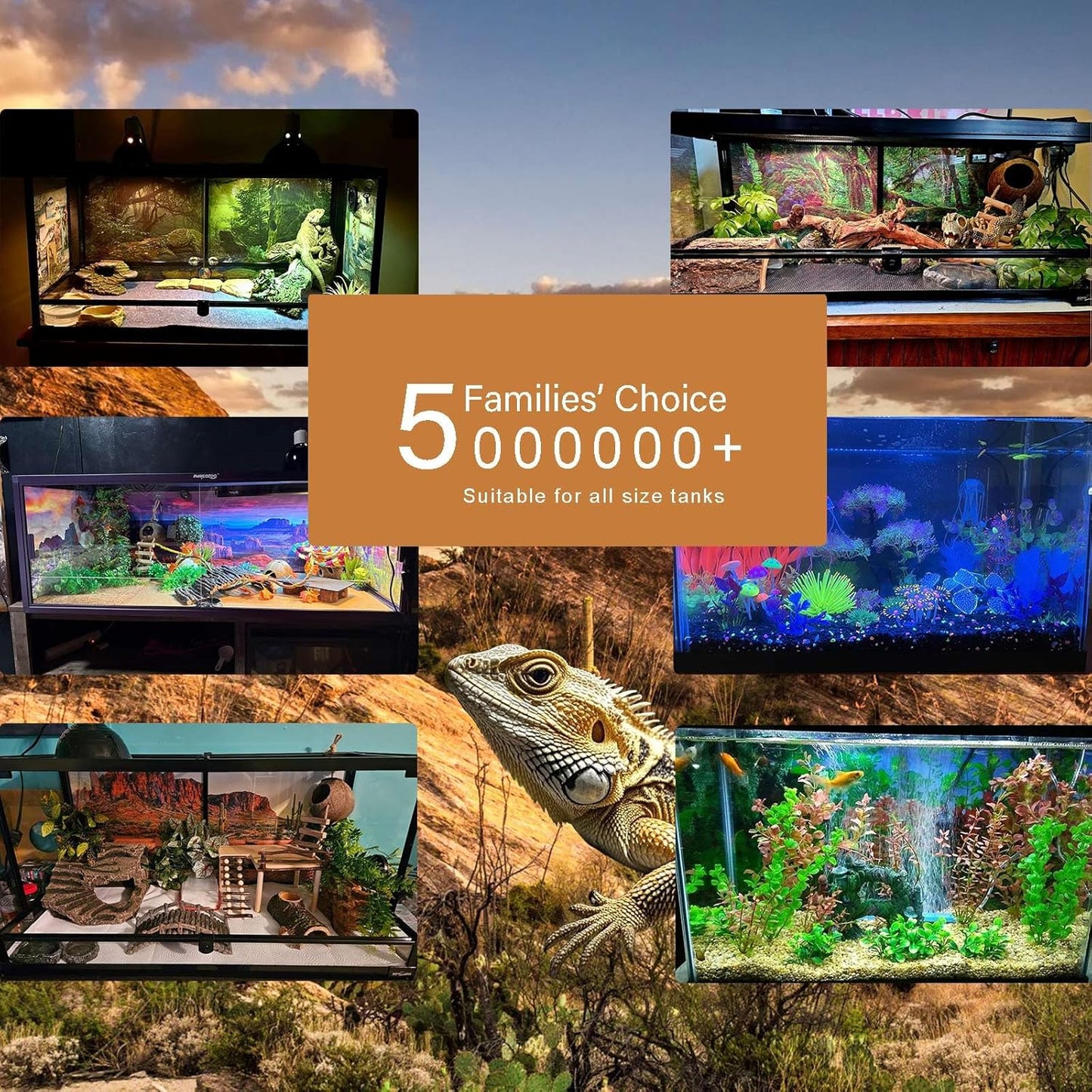 Underwater Aquarium Background Corals and Tropical Fish Terrarium Backdrop Rock Aquatic Plants Sunlight Rays Fish Tank Background Tank Aquarium Wallpaper Poster Decor 30x18in