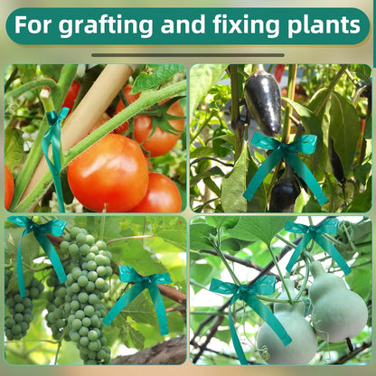 Plant Tape 10 Pack, Garden Tape and Plant Ties for Outdoor Plants, 200FT Length, 1/2 Inch Width, 150um Thickness, for Tomato Grape Vine Grafting, Vegetables Garden Use