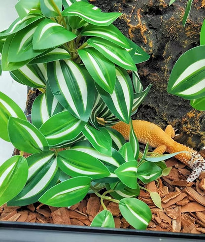 Reptile Plants for Terrarium Decor, Amphibian Habitat Decor, Snake Tank Accessories, Artificial Hanging Plants with Suction Cup-2 Packs (Zebrina Green)