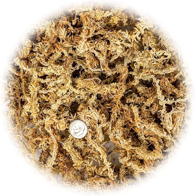 Premium Grade Sphagnum Moss by Gardenera - 20 Quart - Organic Hand Mixed New Zealand Long Fibered Sphagnum Moss Orchid - 4 Bags of 5 Quart