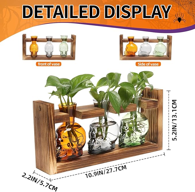 Plant Terrarium Propagation Stations Hydroponics Halloween Skull Planter Vase Skulls Decor with Wooden Stand Gift for Father