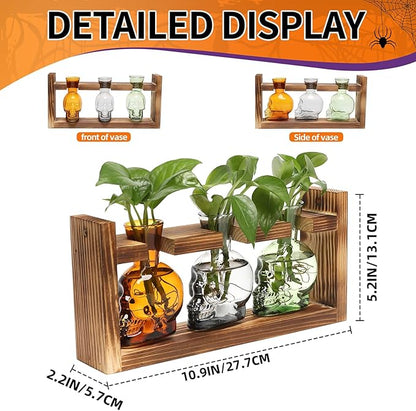 Plant Terrarium Propagation Stations Hydroponics Halloween Skull Planter Vase Skulls Decor with Wooden Stand Gift for Father