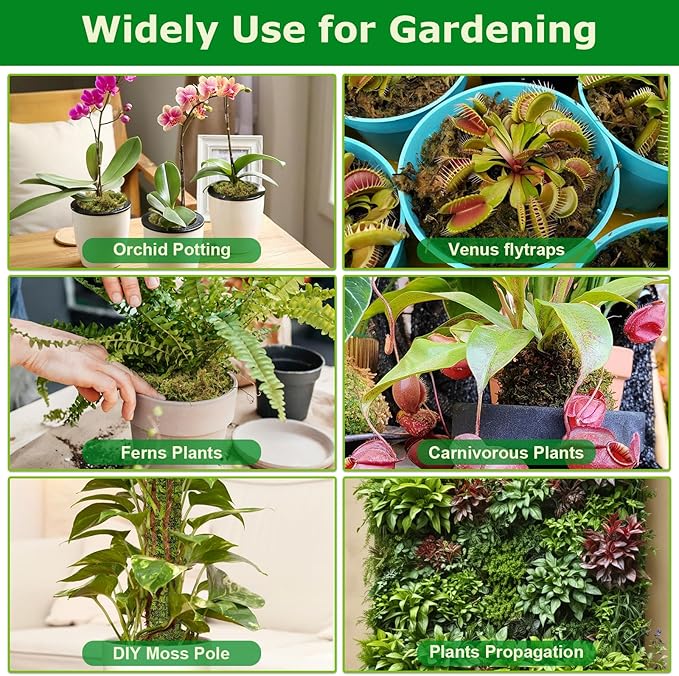 Legigo 7OZ Premium Forest Moss for Plants, 8 QT Natural Green Sphagnum Moss for Potted Plants, Dried Orchid Moss Potting Mix, Soft Real Moss Decorative for Houseplants Orchids Succulents Reptiles