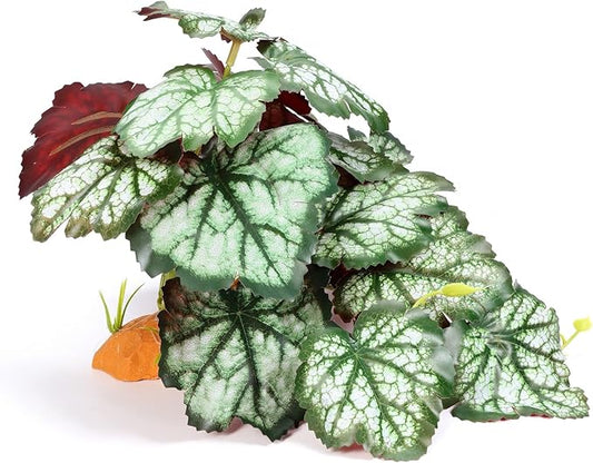 Reptile Plants for Terrarium, Amphibian Habitat Decor Plant, Bearded Dragon Tank Decorations, Artificial Plants for Gecko Lizard Chameleon Tortoise Ball Python Snake with Base - Fake Saxifrage