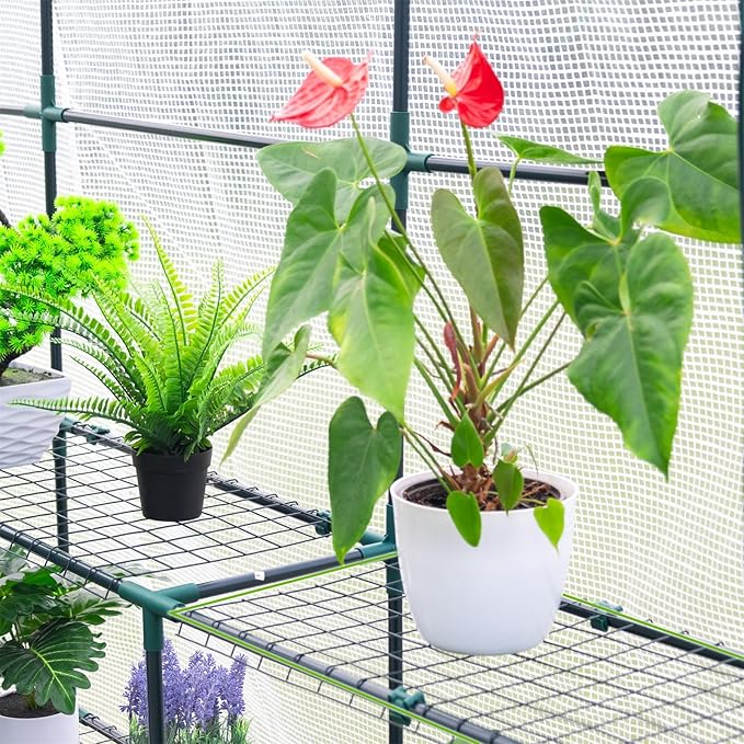 Walk-in Greenhouse for Outdoor, 57 x 85 x 77'' Walk in Plant Greenhouses with Durable UV-Resistant Cover, Reinforced Green House with 3 Tiers Stands Heavy Duty for Patio, Backyard and Porch