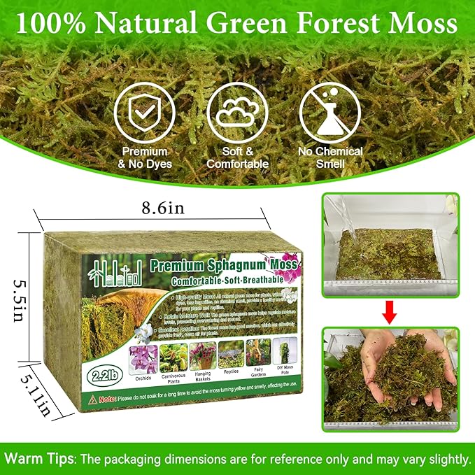 Halatool 2.2LB Premium Sphagnum Moss for Plants, 50QT Green Moss for Plants Indoor Potted Orchid Moss for Repotting Succulent Carnivorous Terrarium Gardening Reptiles