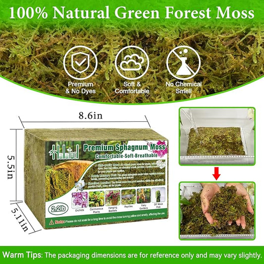 Halatool 2.2LB Premium Sphagnum Moss for Plants, 50QT Green Moss for Plants Indoor Potted Orchid Moss for Repotting Succulent Carnivorous Terrarium Gardening Reptiles