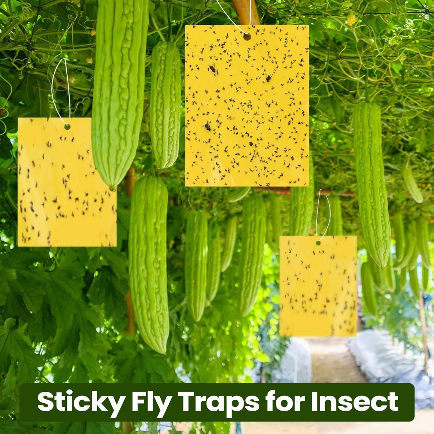 Qualirey 900 Pcs 6 x 8 Inch Yellow Sticky Traps for Plant Double Sided Sticky Trap for Gnats with Twist Ties Sticky Fly Traps for Fruit Insect Fungus Bugs Indoor Outdoor