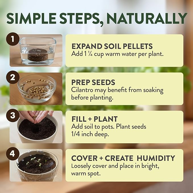 HOME GROWN Indoor Organic Herb Garden Kit – Unique Christmas Gift for Adults, Men, & Women - Grow 4 Herb Seeds for Kitchen Window Garden – Beginner DIY Hobby Gardening Gift for Plant Lovers, Mom & Dad