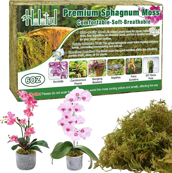 Halatool 6OZ Green Forest Moss Natural Sphagnum Moss for Plants Fluffy Orchid Moss for Orchids Repotting Dried Plant Moss for Potted Plants Indoor & Outdoor