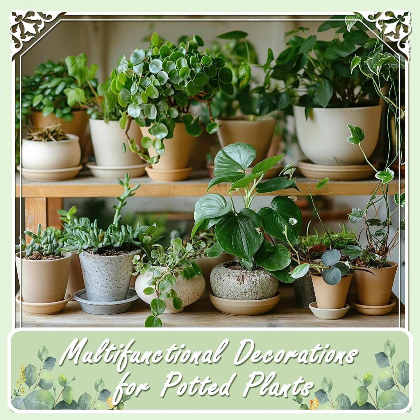 20lbs Natural River Rocks, Polished Pebbles for Plants Garden, 0.3-0.8 inch Decorative Peach Stones, Ideal for Fish Tank, Vases, Crafting, Home Decor and Garden Landscaping Rocks,Mix