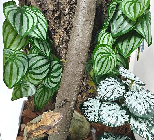 Woyrise 2 Pack Reptile Plants, Terrarium Hanging Plant Vines, Artificial Leaves with Suction Cup, Bearded Dragon Tank Accessories for Gecko Lizard Snake Frog Tortoise Decorations - Calathea Orbifolia