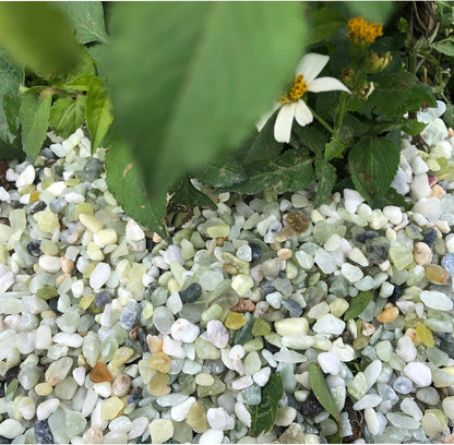 18lb Jade Bean Pebbles,1/4 Inch Cactus Bonsai DIY Rocks, Natural Succulent Rock and River Rocks Decorative for Aquariums, Vases, Terrarium, Outdoor Gardening, Top Dressing for Potted Plants