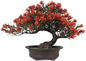 Artificial Bonsai Tree - Fake Plants for Home Decor, Bookshelf Coffee Table Office Desk Bathroom Farmhouse Indoor Decor, 9.5" Tall, Red
