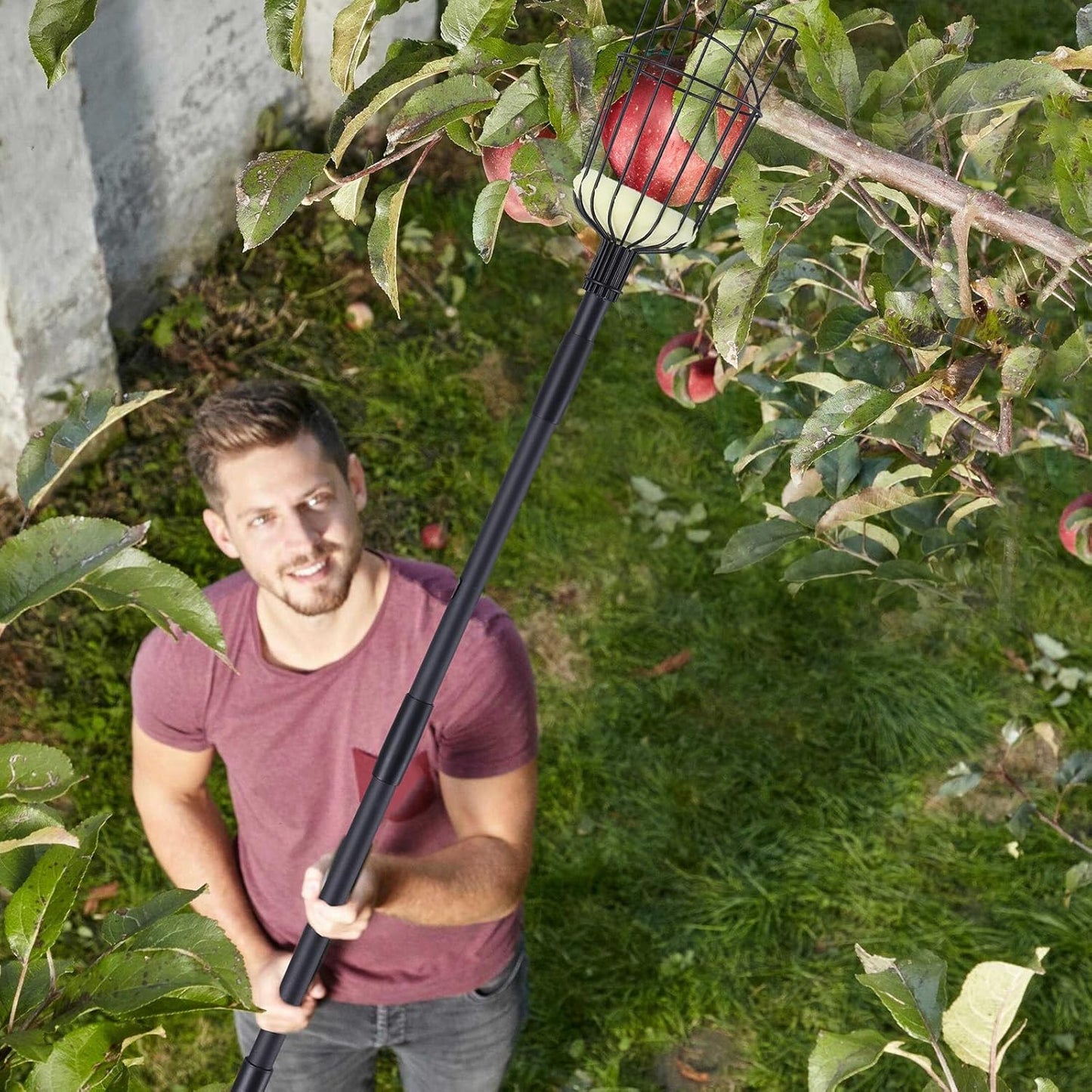 Fruit Picker Pole with Basket - 10.7FT(130Inch) Adjustable Fruit Picker with Basket, Orange Picker, Fruit Picking Pole for Orange Apple Avocados Lemon, Black