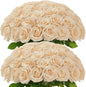 50Pcs Champagne Roses Artificial Flowers Artificial Silk Roses Bulk,Fake Roses Flower with Stems Realistic Flowers for Wedding Centerpiece Home Party Decor