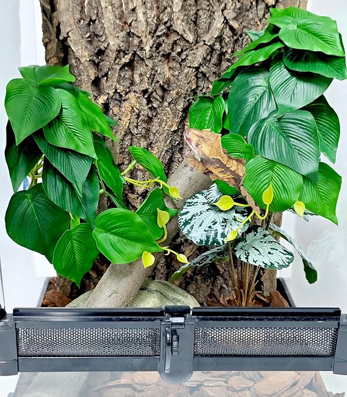 Woyrise Reptile Plants, Terrarium Hanging Plant Vines, Artificial Leaves with Suction Cup, Bearded Dragon Tank Accessories for Gecko Lizard Snake Frog Tortoise Decorations - Epipremnum aureum